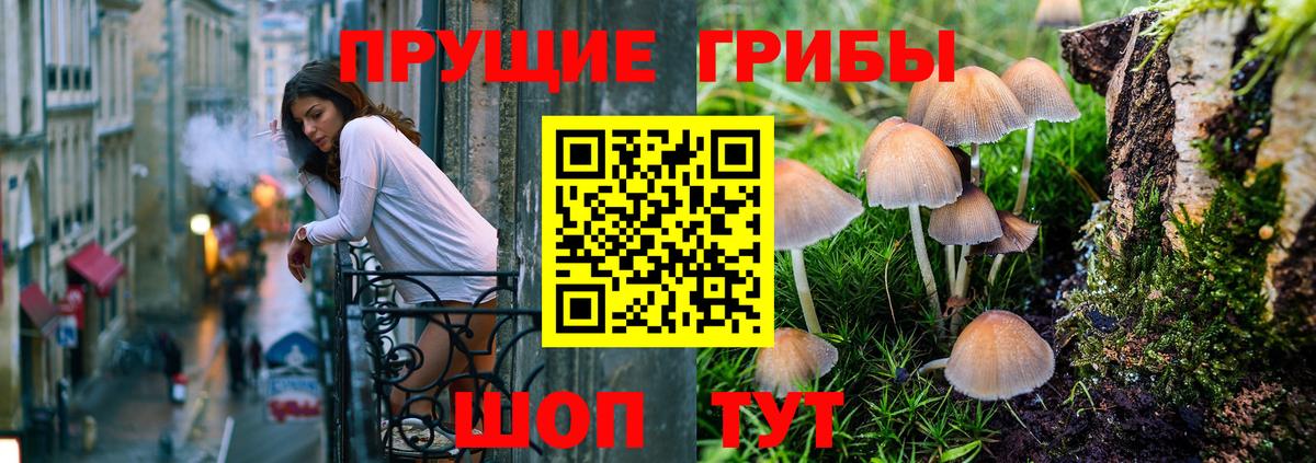 Галлюциногенные грибы прущие грибы  Вход с VPN  Дятьково 
